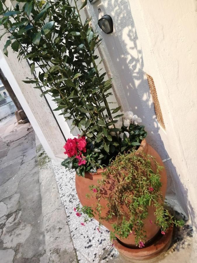 Relax Santa Cecilia Apartamento Gravina in Puglia Exterior foto